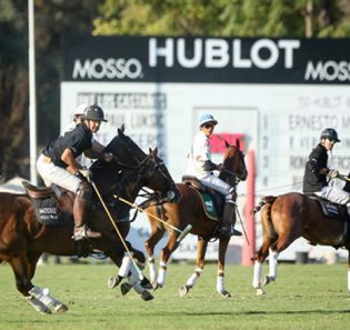 polo-img-4