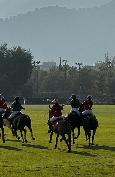 MOSSO-WEB_POLO-4