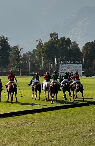 MOSSO-WEB_POLO-5