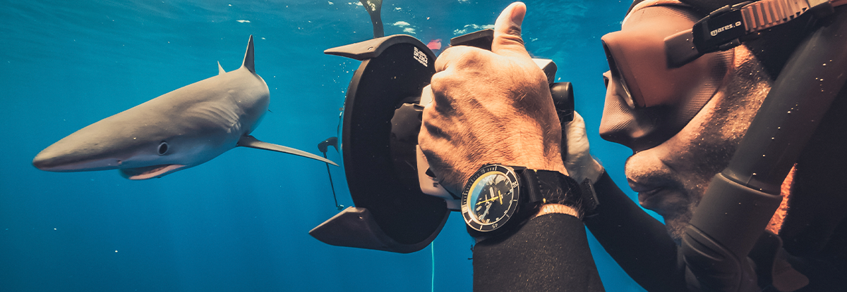 Diver Lemon Shark – Ulysse Nardin | Mosso